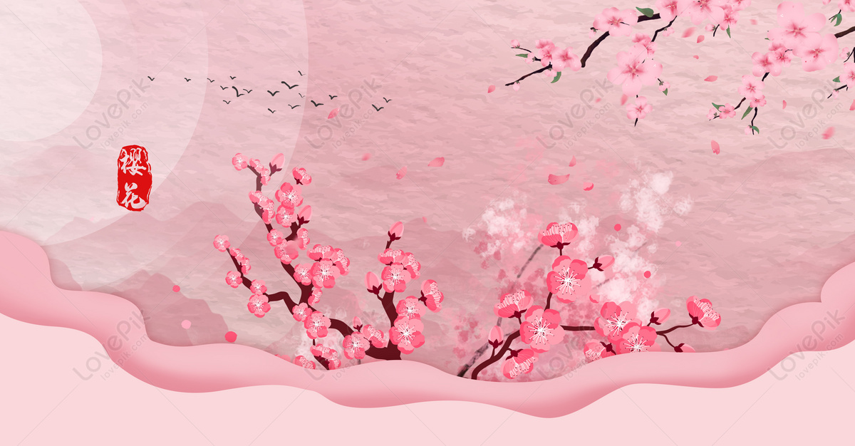 Hình ảnh Sakura (thủ Lĩnh Thẻ Bài) đẹp nhất | Hình ảnh, Cardcaptor sakura,  Hoạt hình