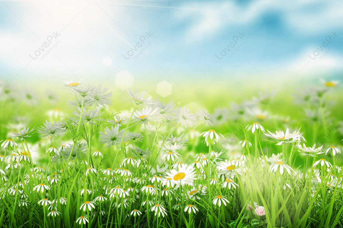 봄 배경입니다 이미지, Hd 봄, 봄 배경, 녹색 배경 사진 무료 다운로드 - Lovepik