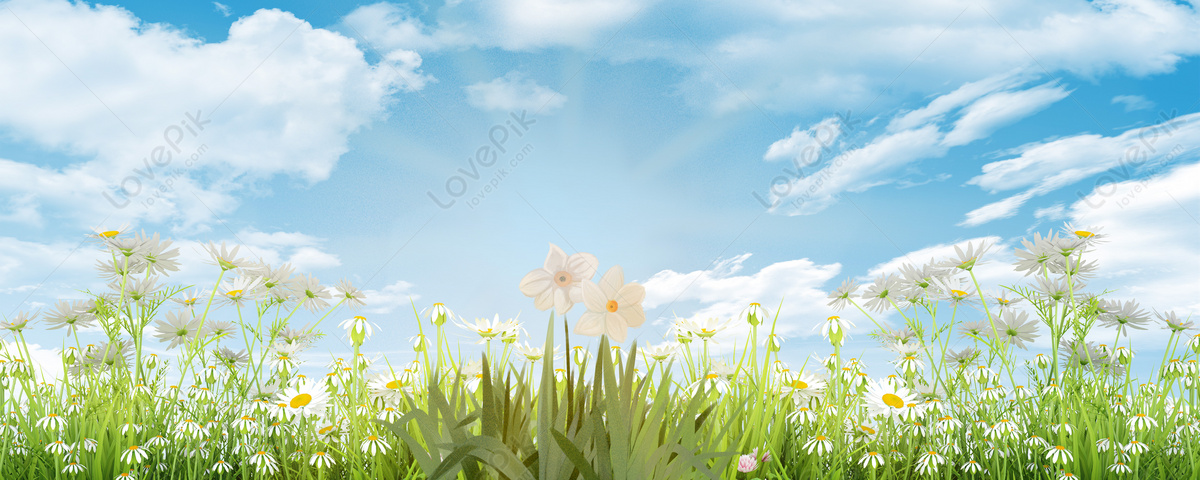 Spring Background Download Free | Banner Background Image on Lovepik