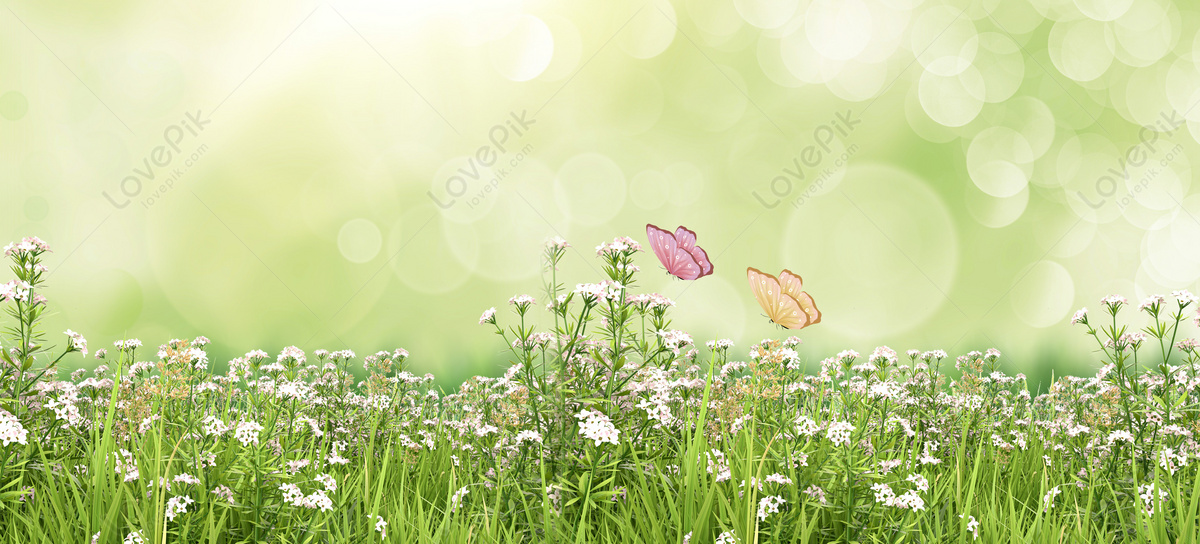 Spring Meadow Background Download Free | Banner Background Image on Lovepik  | 401904200