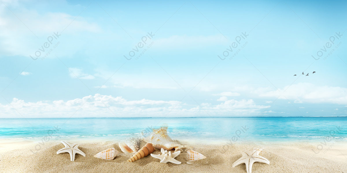 Summer Beach Background Download Free | Banner Background Image on Lovepik  | 500926954