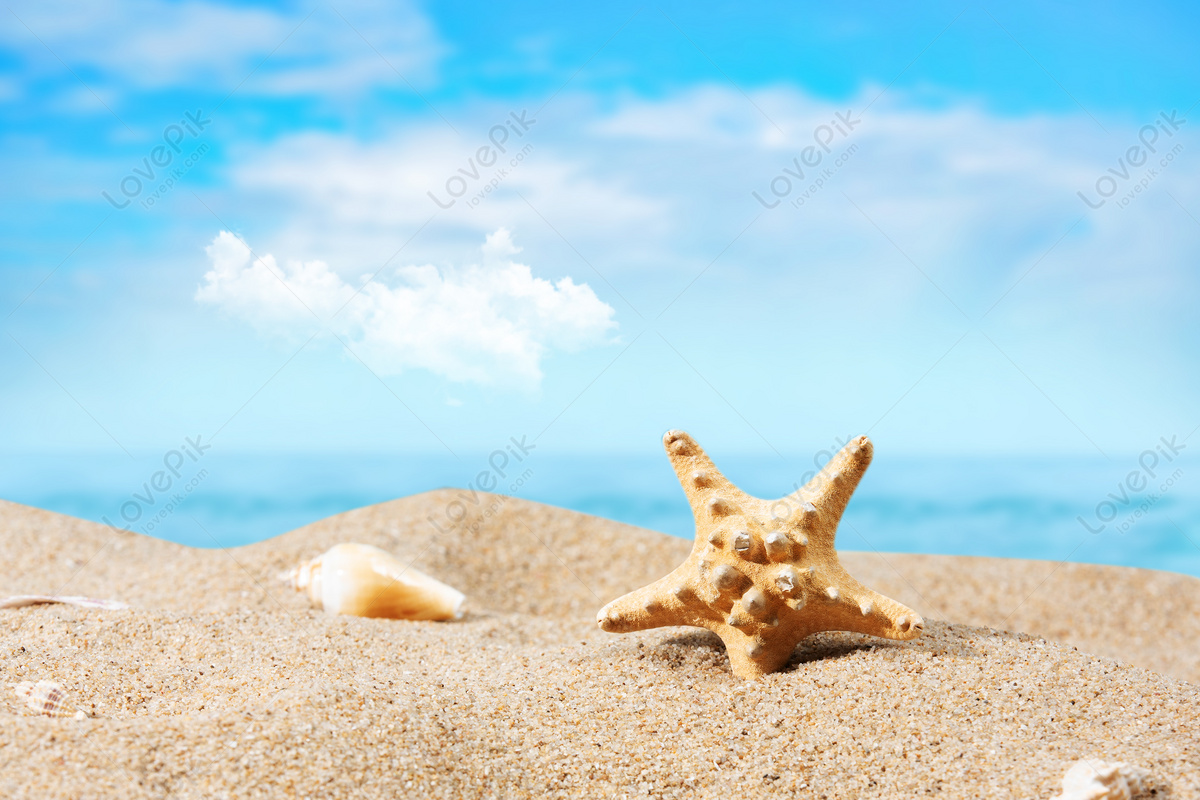 Summer Beach Download Free | Banner Background Image on Lovepik | 500933308