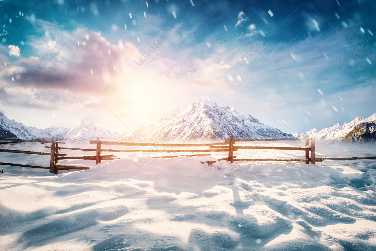 Winter Snow Scene Download Free | Banner Background Image on Lovepik |  401868221