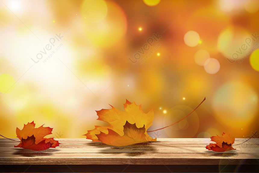 Hình Nền Mùa Thu Nền, HD và Nền Cờ đẹp mùa thu, rụng lá, phong để Tải Xuống  Miễn Phí - Lovepik