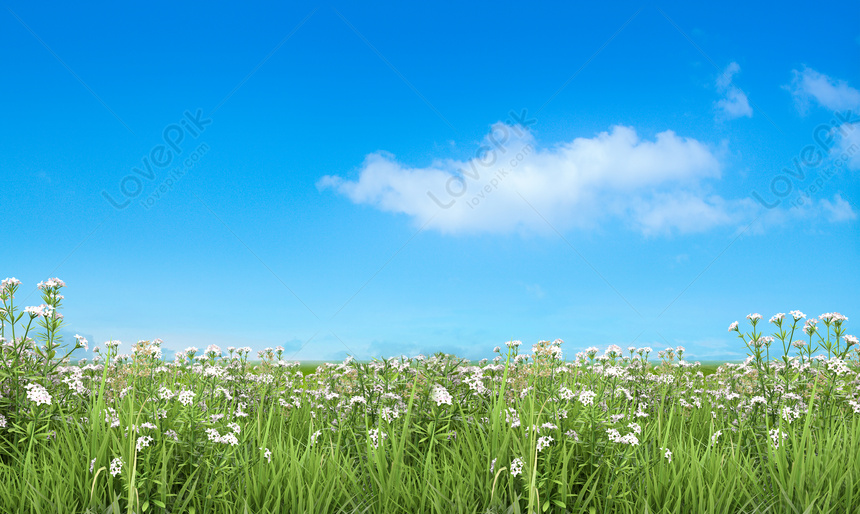 Hình nền bầu trời xanh và cỏ mây trắng của chúng tôi sẽ khiến bạn cảm thấy như được đưa đến một thế giới khác. Với tông màu xanh dịu nhẹ, bạn sẽ thấy bình yên và thư giãn khi sử dụng hình nền này.