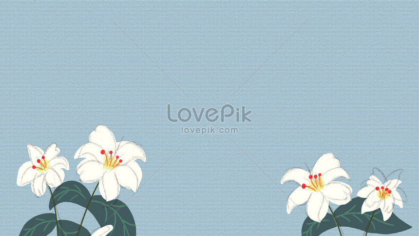 Hình Nền Vẽ Tay Hoa Lily Màu Xanh Nền, Hd Và Nền Cờ Đẹp Lily, Màu Xanh Lam,  Rô Để Tải Xuống Miễn Phí - Lovepik