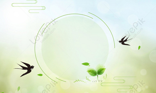 Clear Background Images, HD Pictures For Free Vectors & PSD Download -  