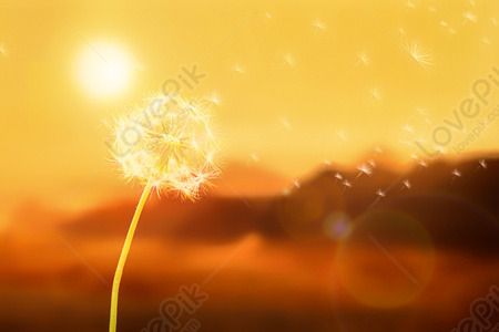 Sun Background Images, 4000+ Free Banner Background Photos Download -  Lovepik