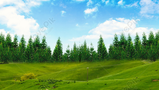 Sky Grass Background Download Free | Banner Background Image on Lovepik |  401504273