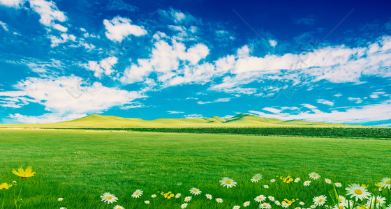 Grass Background Images, 6400+ Free Banner Background Photos Download -  Lovepik