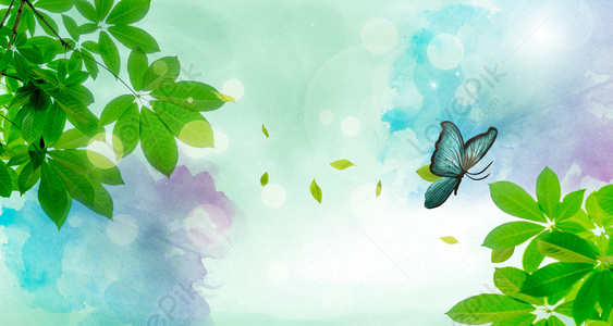 Green And Fresh Background Images, HD Pictures For Free Vectors Download -  