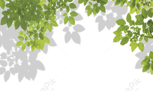 Natural Light And Shadow Images, HD Pictures For Free Vectors & PSD  Download 