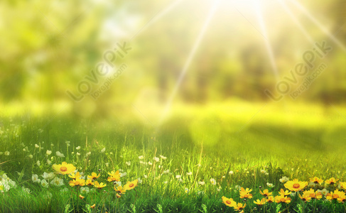 Grass Background Images, 6400+ Free Banner Background Photos Download -  Lovepik