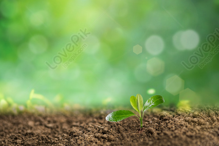 Soil Background Images, 190+ Free Banner Background Photos Download -  Lovepik