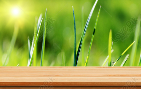 Spring Desktop Background Images, HD Pictures For Free Vectors & PSD  Download 