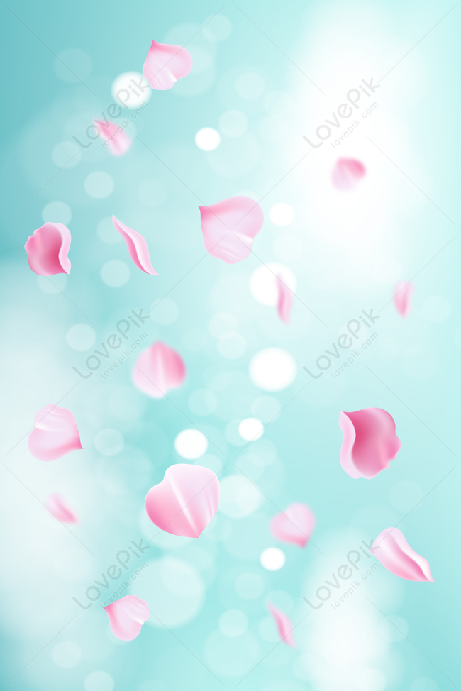 Cánh hoa hồng màu xanh nhạt rơi tạo nên một hình ảnh cực kỳ nên thơ và lãng mạn. Bức ảnh này sẽ khiến bạn nhớ đến những kỷ niệm ngọt ngào và lưu lại trong lòng những giây phút tuyệt vời nhất của cuộc đời.
