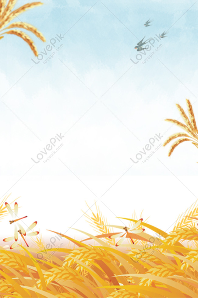 Mango Golden Wheat Field Chinese Wind Poster Background Download Free ...