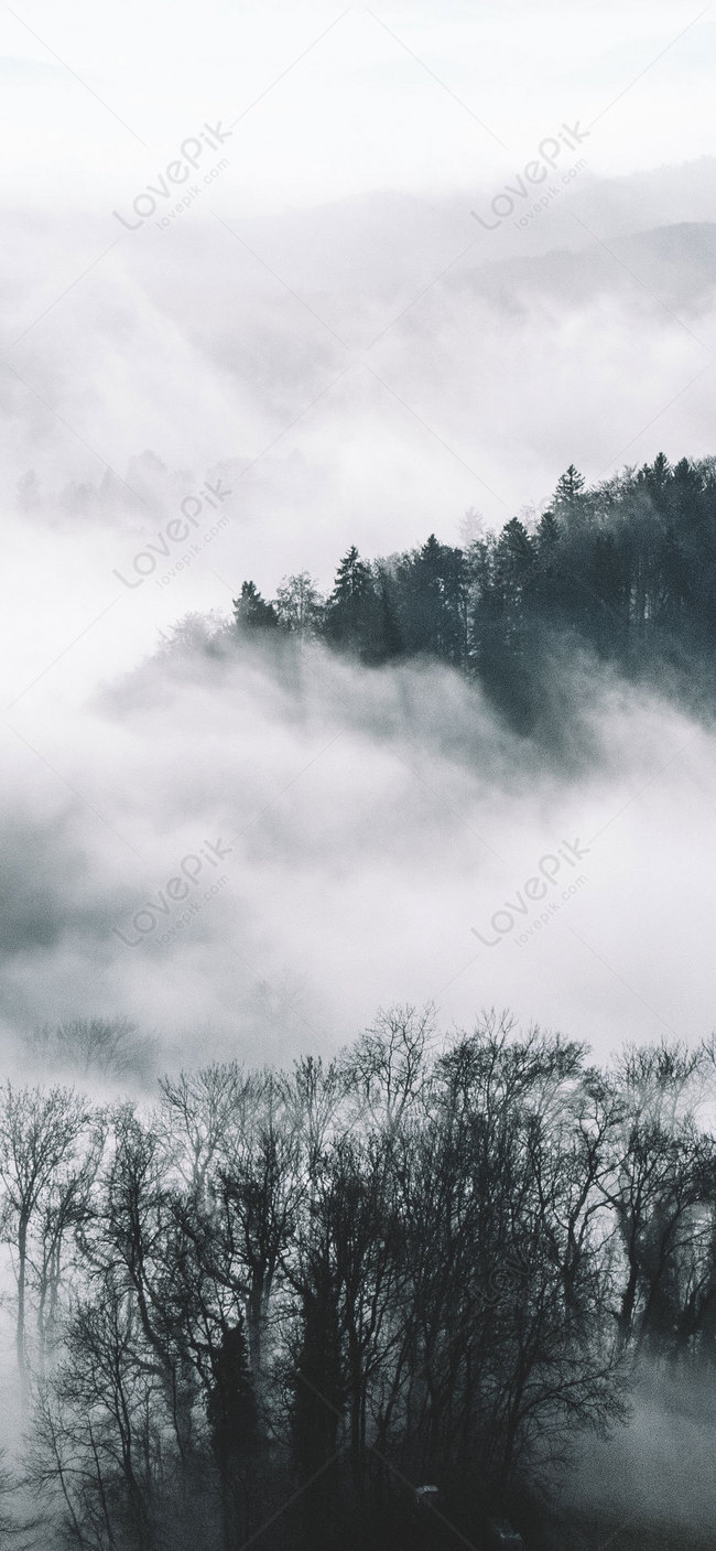 Cloud Sea Mountain Forest Mobile Wallpaper Images Free Download on Lovepik  | 400268801