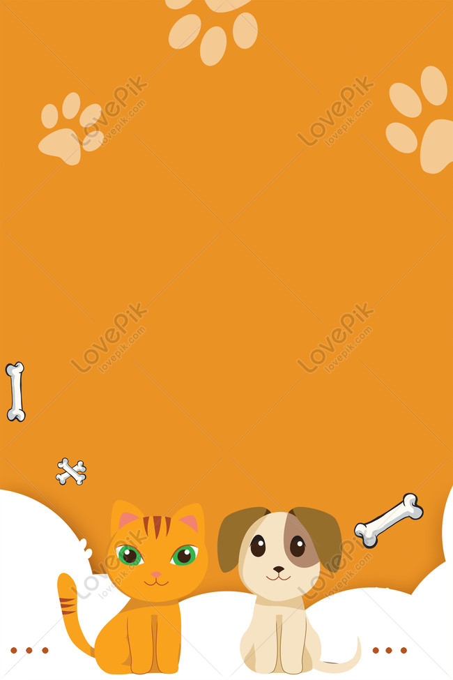 Chó màu cam: \