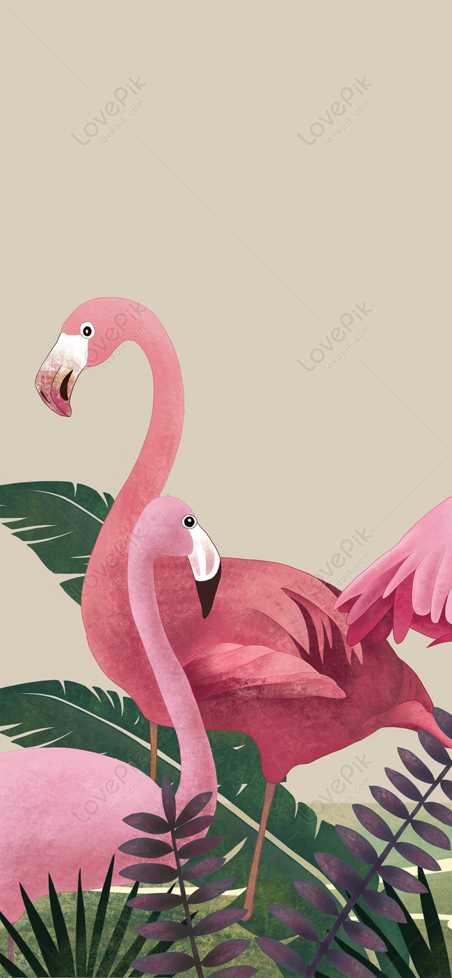 Protetor De Tela Móvel Flamingo Imagem Grátis_Fundos Número