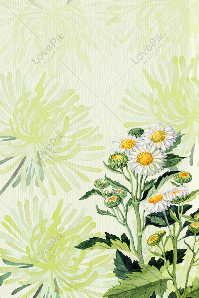 Fresh Chrysanthemum: Hình ảnh này mang đến một cái nhìn tuyệt đẹp về hoa cúc tươi mới và thơm ngát. Hãy tận hưởng sự thanh tịnh và tinh khiết của hương hoa này khi chúng ta trầm mình trong vẻ đẹp tự nhiên của nó. Sự sống động và tươi trẻ của vẻ đẹp này sẽ đem lại cho bạn cảm hứng và năng lượng tràn đầy.