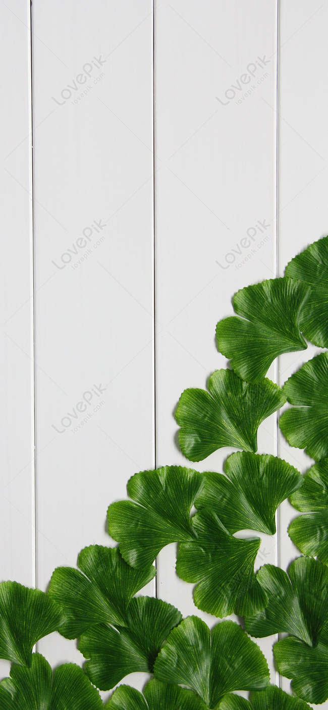 Green Leaf Mobile Wallpaper Images Free Download on Lovepik | 400300387