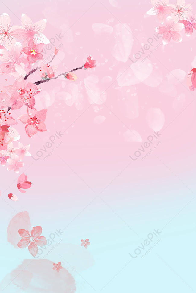 Hình ảnh hoa anh đào đẹp như mơ được biểu tượng hóa tốt nhất trong văn hóa Nhật Bản và được coi là biểu tượng của sự nở rộ của mùa xuân. Hãy đến với hình ảnh hoa anh đào để tận hưởng sự trang trí tuyệt vời của loài hoa tuyệt đẹp này.