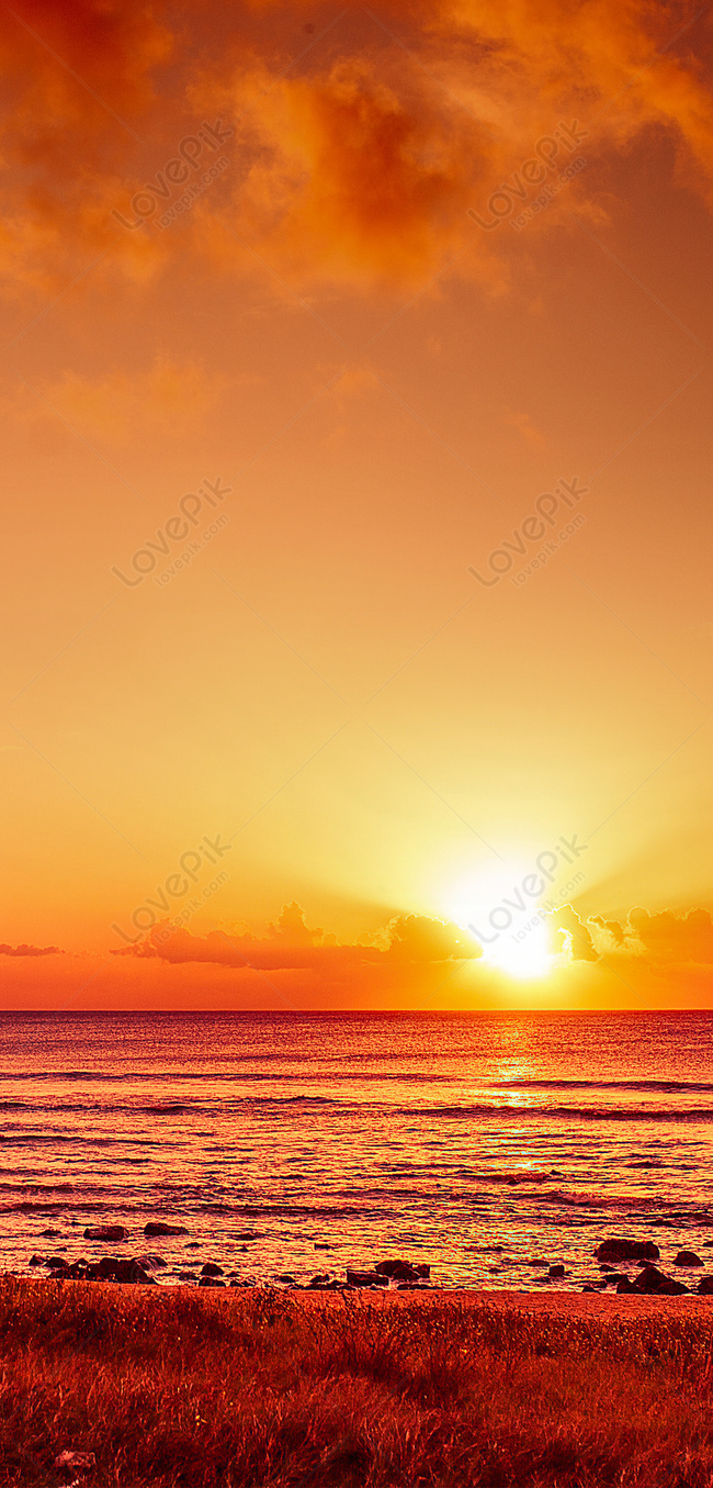 Seaside Sunrise Cellphone Wallpaper Images Free Download on Lovepik |  400336160
