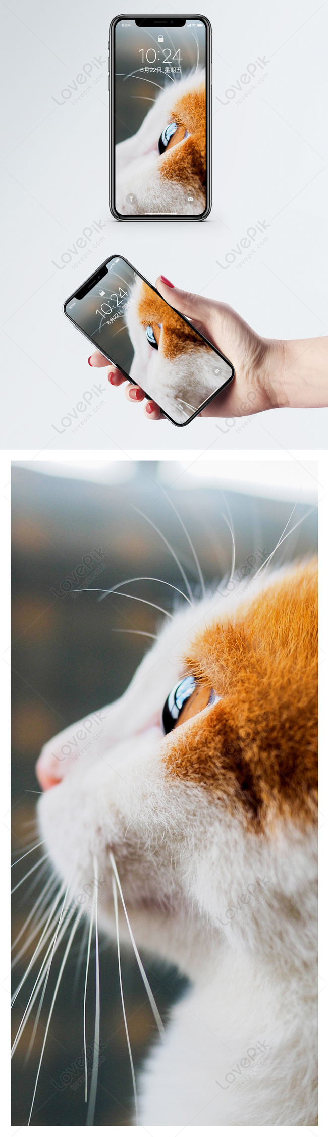 Hình nền điện thoại bên con mèo Để tạo cho điện thoại của bạn vẻ ngoài mới lạ và độc đáo, bạn có thể sử dụng bức tranh nền điện thoại với hình ảnh con mèo đáng yêu. Tận hưởng niềm vui nhìn thấy mèo mỗi khi mở điện thoại của bạn. Bạn sẽ không muốn bỏ qua bức tranh nền với con mèo đáng yêu này.