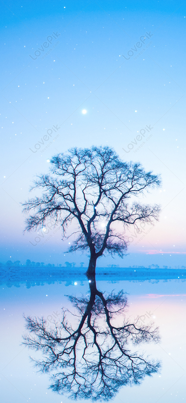 Tree Cellphone Wallpaper Images Free Download on Lovepik | 400293137
