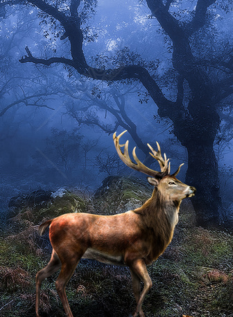 deer, the beach, mountains, the sea, nature, nature hd wallpaper.  AI-Generated 32245182 Stock Photo at Vecteezy