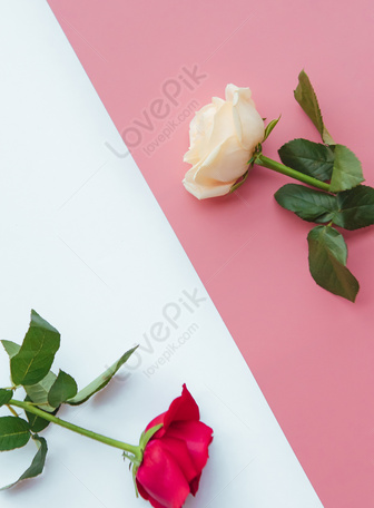 Desktop Wallpaper Aesthetic Roses Photos, Download The BEST, 41% OFF
