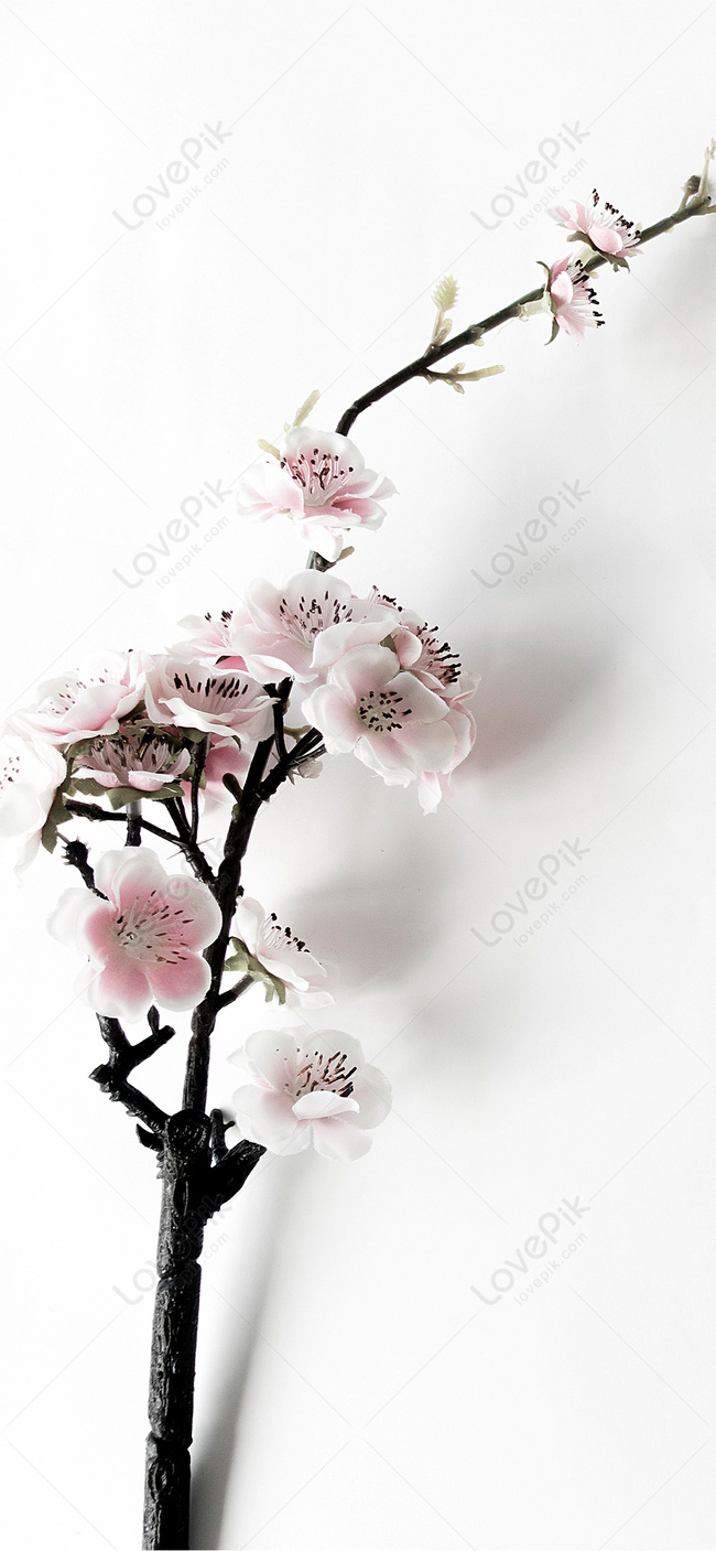 A Plum Flower Mobile Phone Wallpaper Images Free Download on Lovepik |  400391464