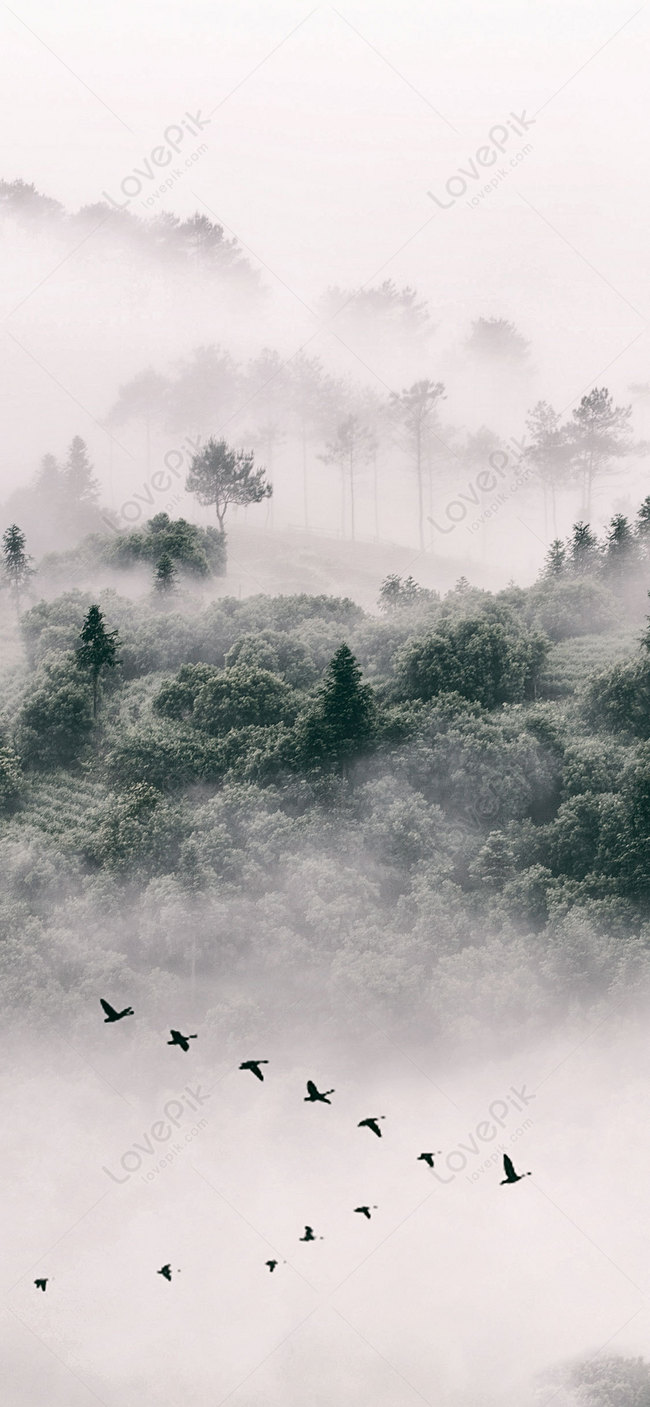 Hình Nền Trung Quốc Gió Hình Nền điện Thoại Di động, HD và Nền Cờ đẹp núi  rừng, chim, sương mù để Tải Xuống Miễn Phí - Lovepik