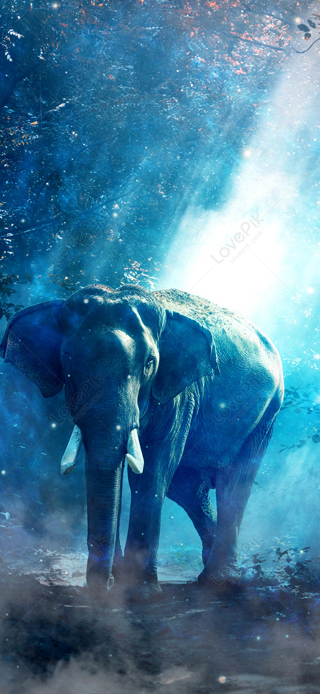 Elephant Mobile Phone Wallpaper Images Free Download on Lovepik | 400445391