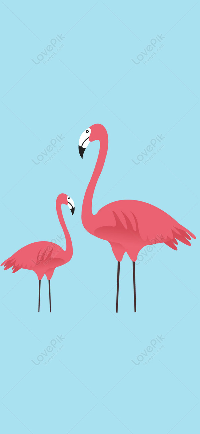 Hình Nền Flamingo Hình Nền điện Thoại Di động, HD và Nền Cờ đẹp ...