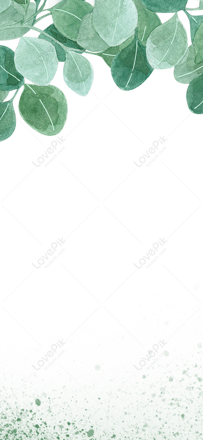 green leaf wallpaper with white background