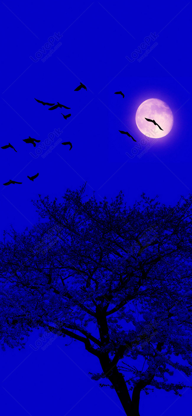 Hình Nền Bầu Trời đêm Với Những Ngôi Sao Và Mặt Trăng Những đám Mây đẹp đẽ  | Nền PNG Tải xuống miễn phí - Pikbest