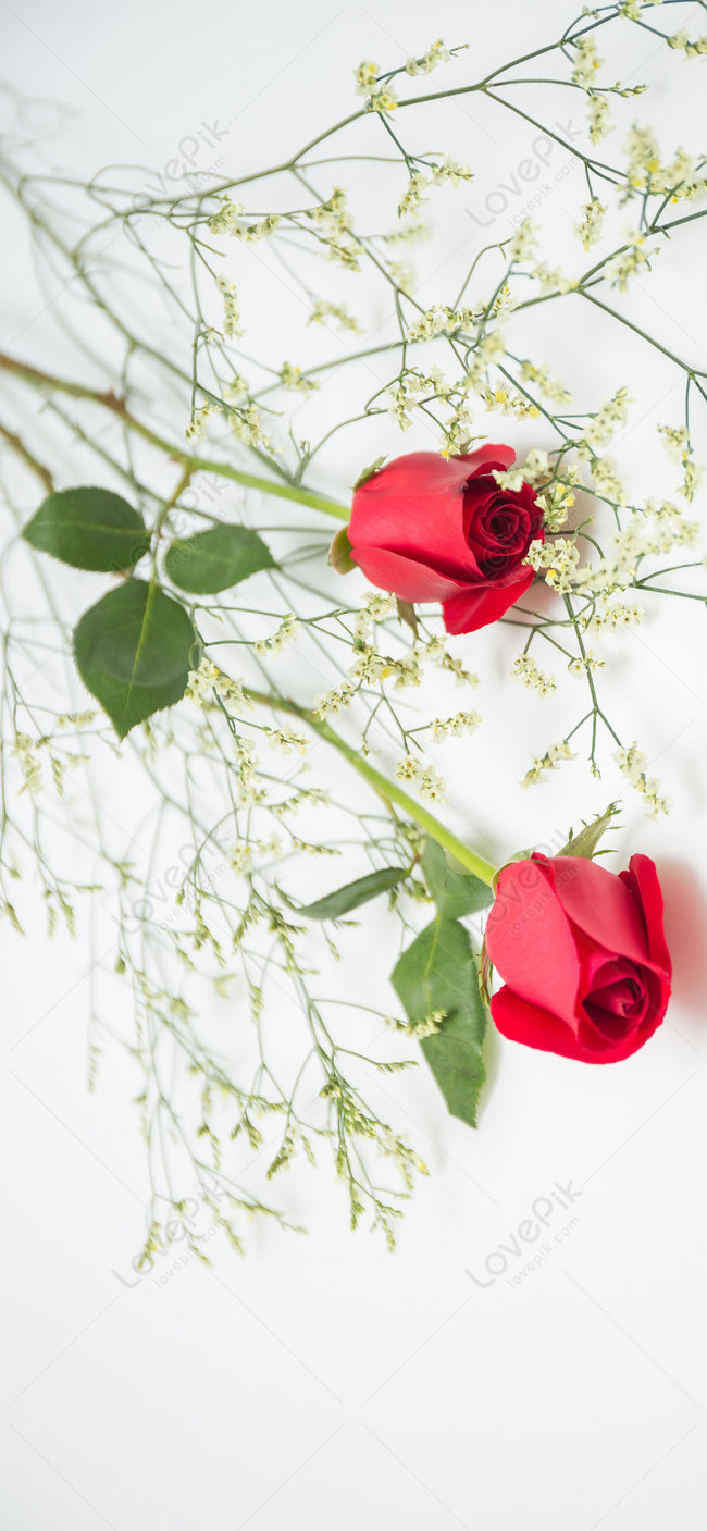 Hoa hồng luôn là biểu tượng của tình yêu, sự hoàn hảo và sự kiêu sa. Và bây giờ, bạn có thể thấy chúng trong hình nền hoa hồng độc đáo và nghệ thuật này. Hãy để màu sắc rực rỡ và họa tiết tuyệt đẹp này làm bạn cảm thấy yêu đời hơn.