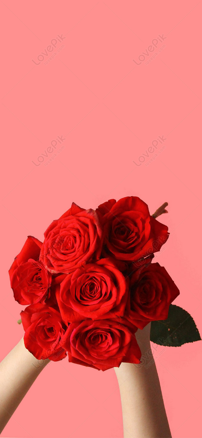 Красные Розы Обои на телефон бесплатно для Android и iPhone