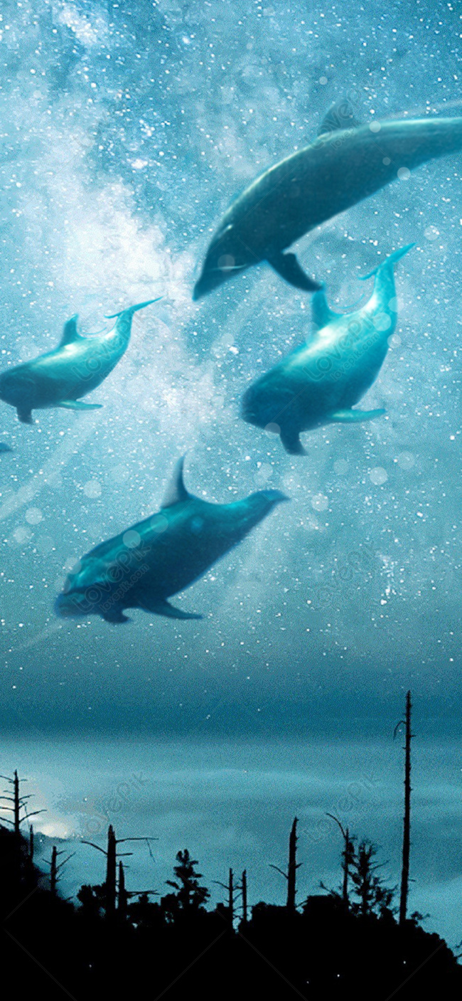 Star Dolphin Mobile Phone Wallpaper Images Free Download on Lovepik |  400445452