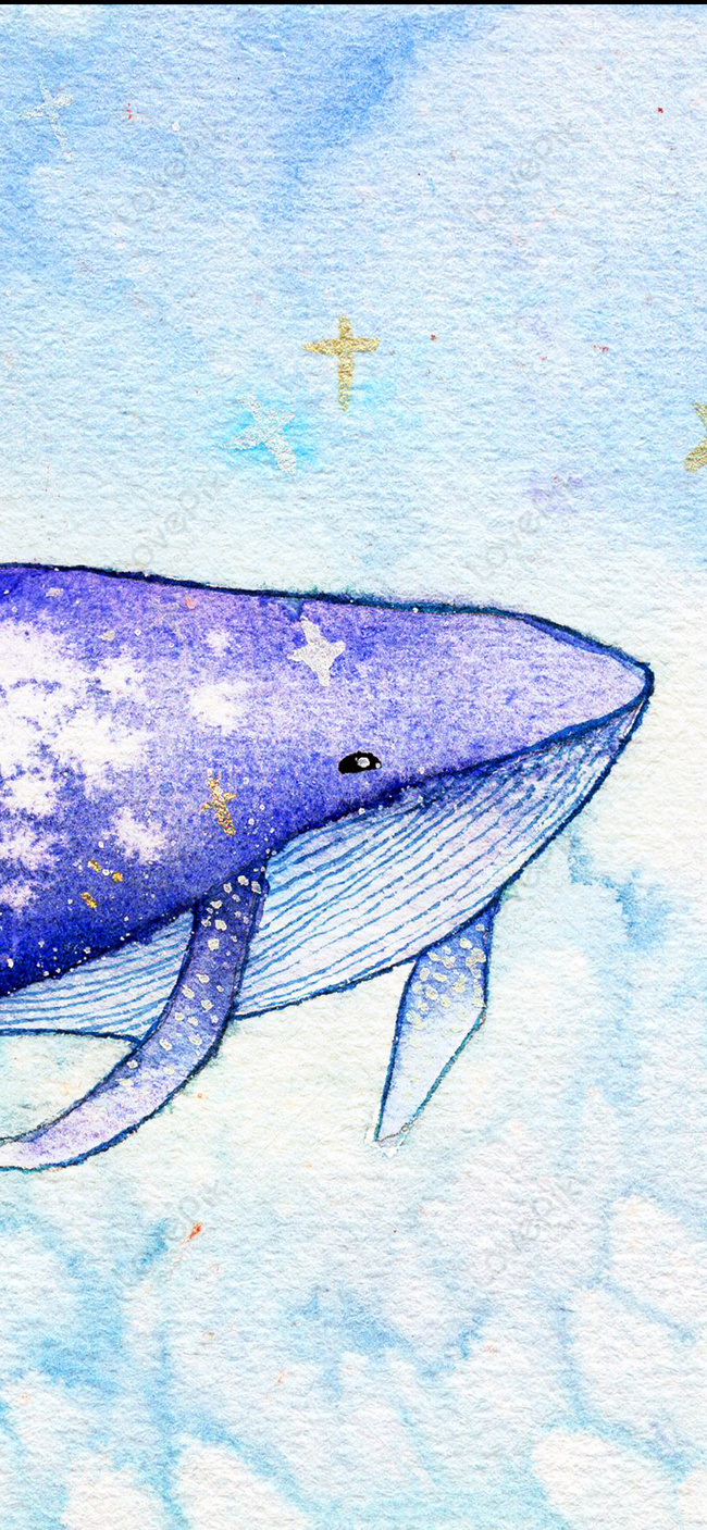 Phim hoạt hình Whale Cá voi xanh Cá voi dài Cá voi Cá voi cong Cá voi - Hình  ảnh hoạt hình của một con cá voi lớn, phi thực tế png