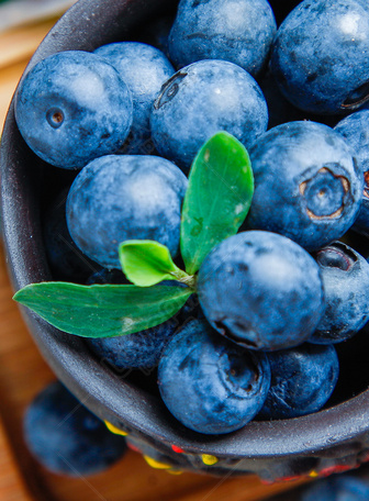 Blueberries HD Wallpapers | HD Wallpapers | ID #22914