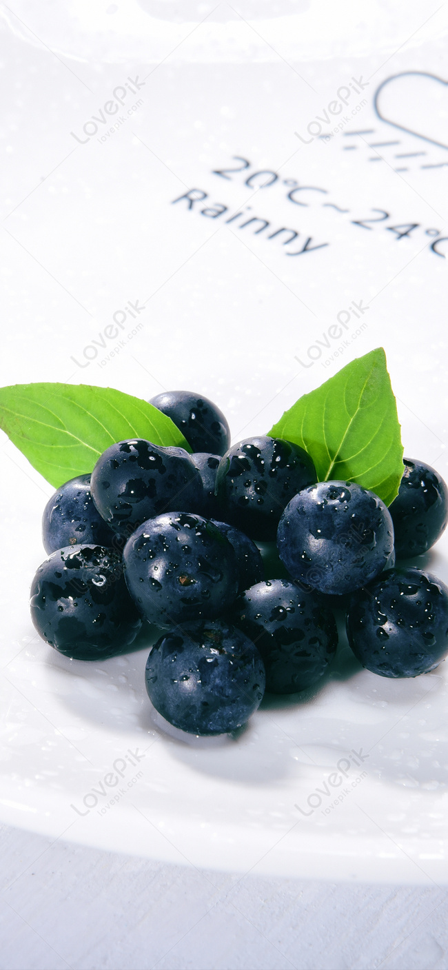 Blueberry Fruit Mobile Phone Wallpaper Images Free Download on Lovepik |  400538226