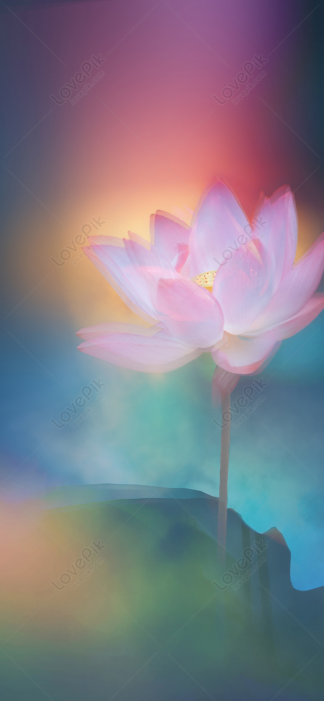 Lotus Fantasy: Hình ảnh Lotus Fantasy với những bông sen đầy sống động và màu sắc tươi sáng sẽ làm cho bạn say đắm vào không gian tuyệt đẹp, đầy mơ mộng. Hãy để Lotus Fantasy là hình nền tuyệt vời cho máy tính của bạn.