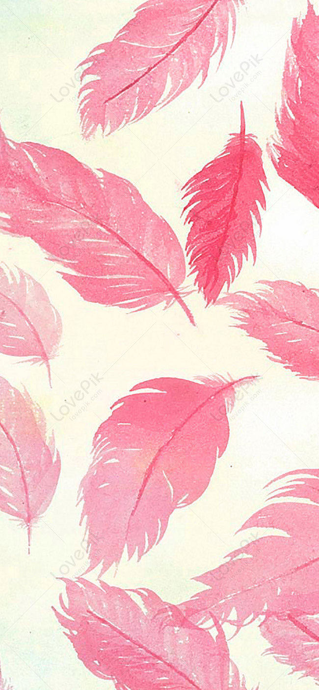 Pluma rosa, plumas rosas fondo de pantalla del teléfono