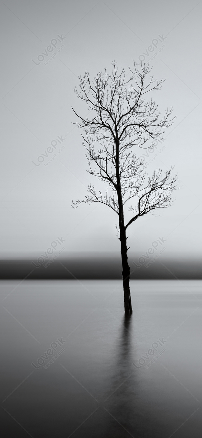 Lonely Tree Mobile Phone Wallpaper Images Free Download on Lovepik |  400604306