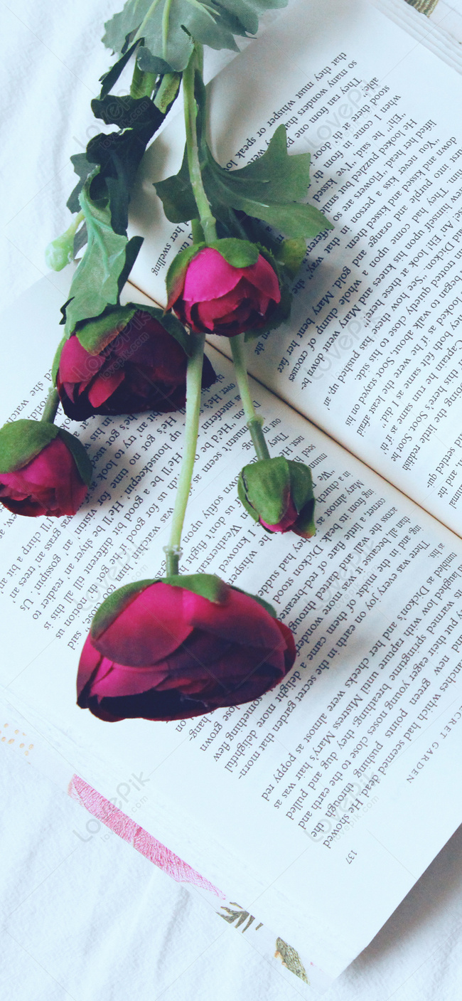 Rose And Book Mobile Wallpaper Images Free Download on Lovepik | 400582536