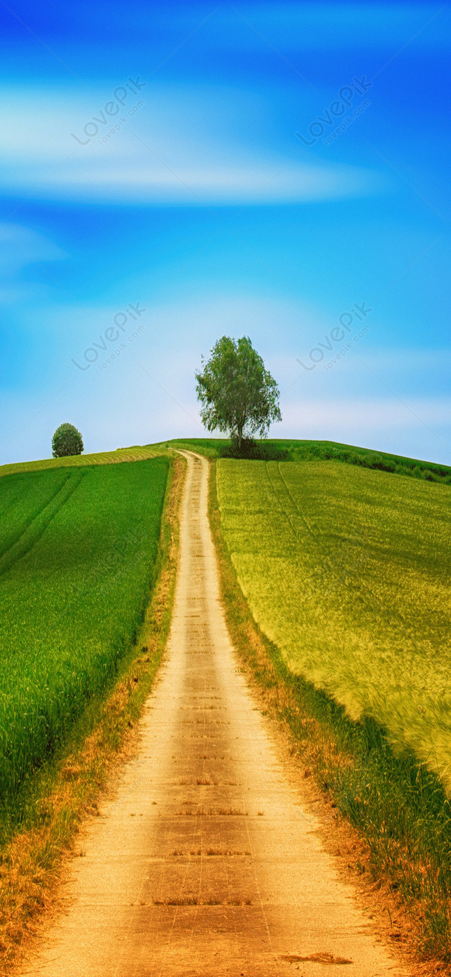 Scenery Road Mobile Wallpaper Images Free Download on Lovepik | 400521552