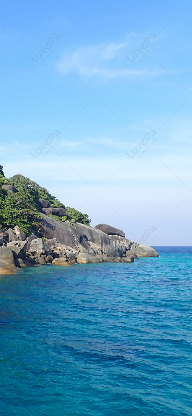 Hình Nền Đảo Bọt Tải Về Miễn Phí, Hình ảnh bọt biển, động vật, và đảo Sáng  Tạo Từ Lovepik